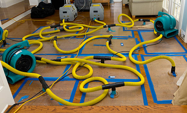 Professional Crawl Space Water Removal technician working in Lindstrom, MN
